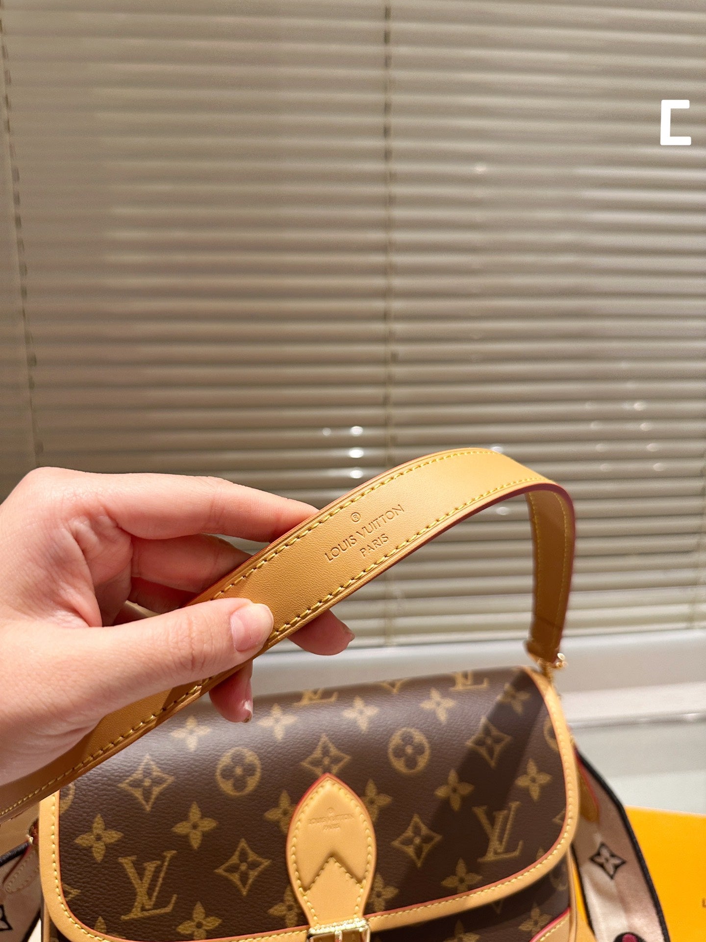 LV-BAG1050