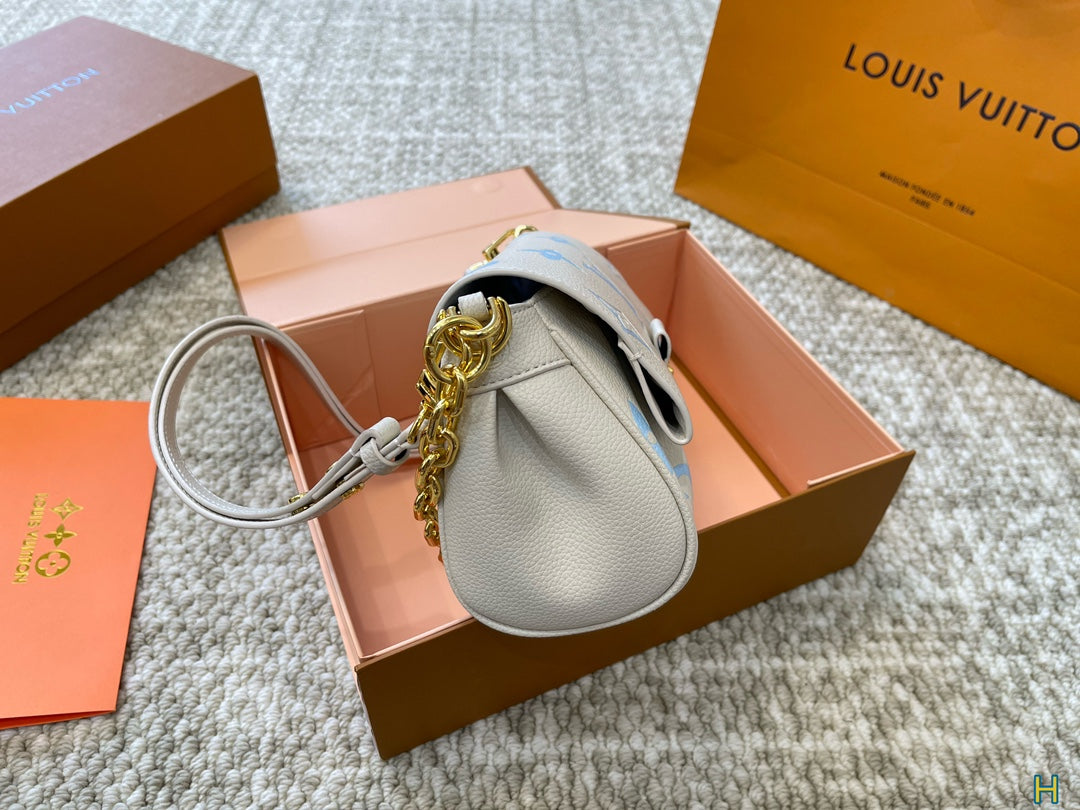 LV-BAG879