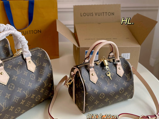 LV-BAG1070