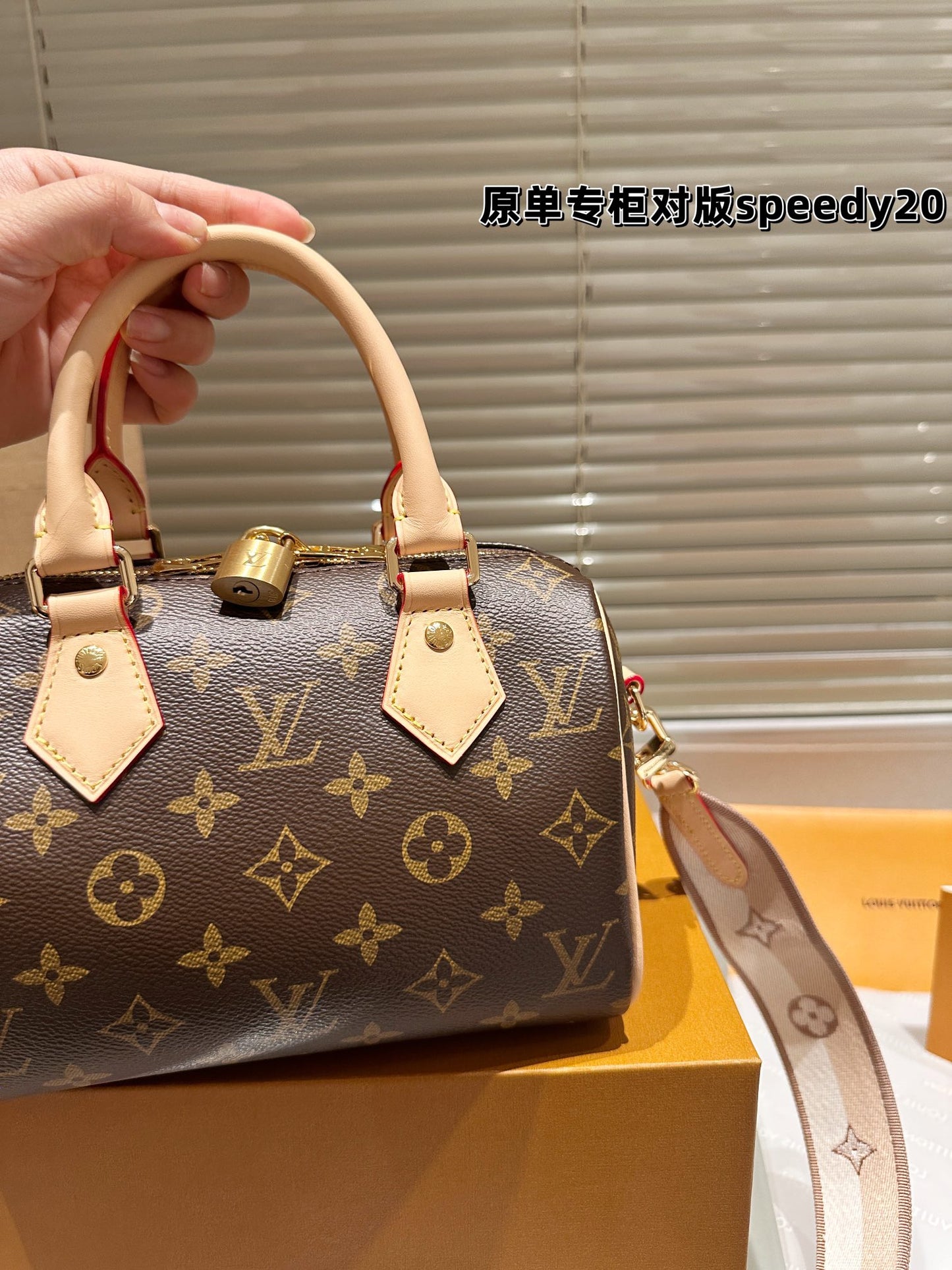 LV-BAG1080