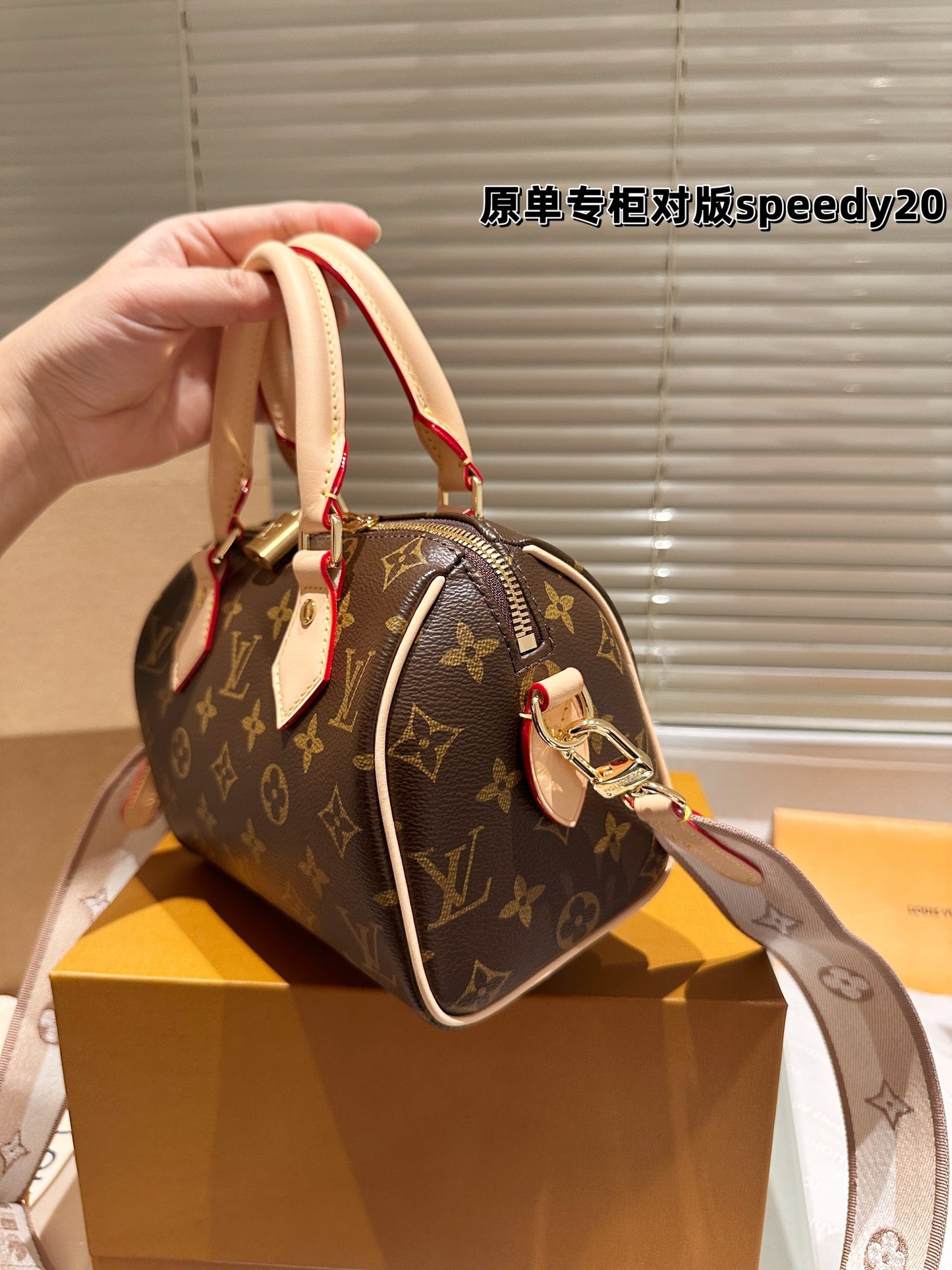 LV-BAG1080