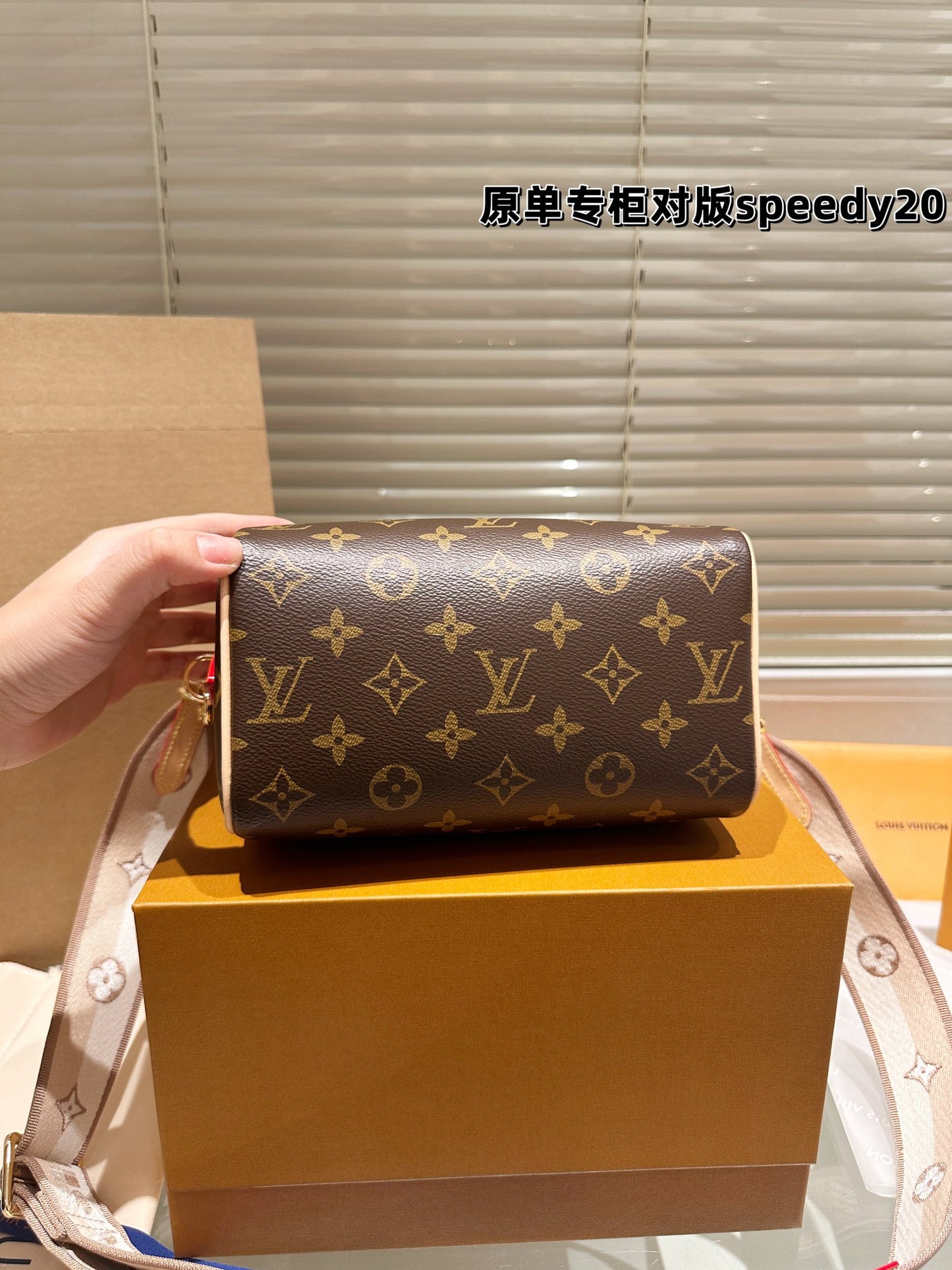 LV-BAG1080