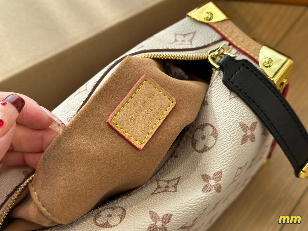 LV-BAG892