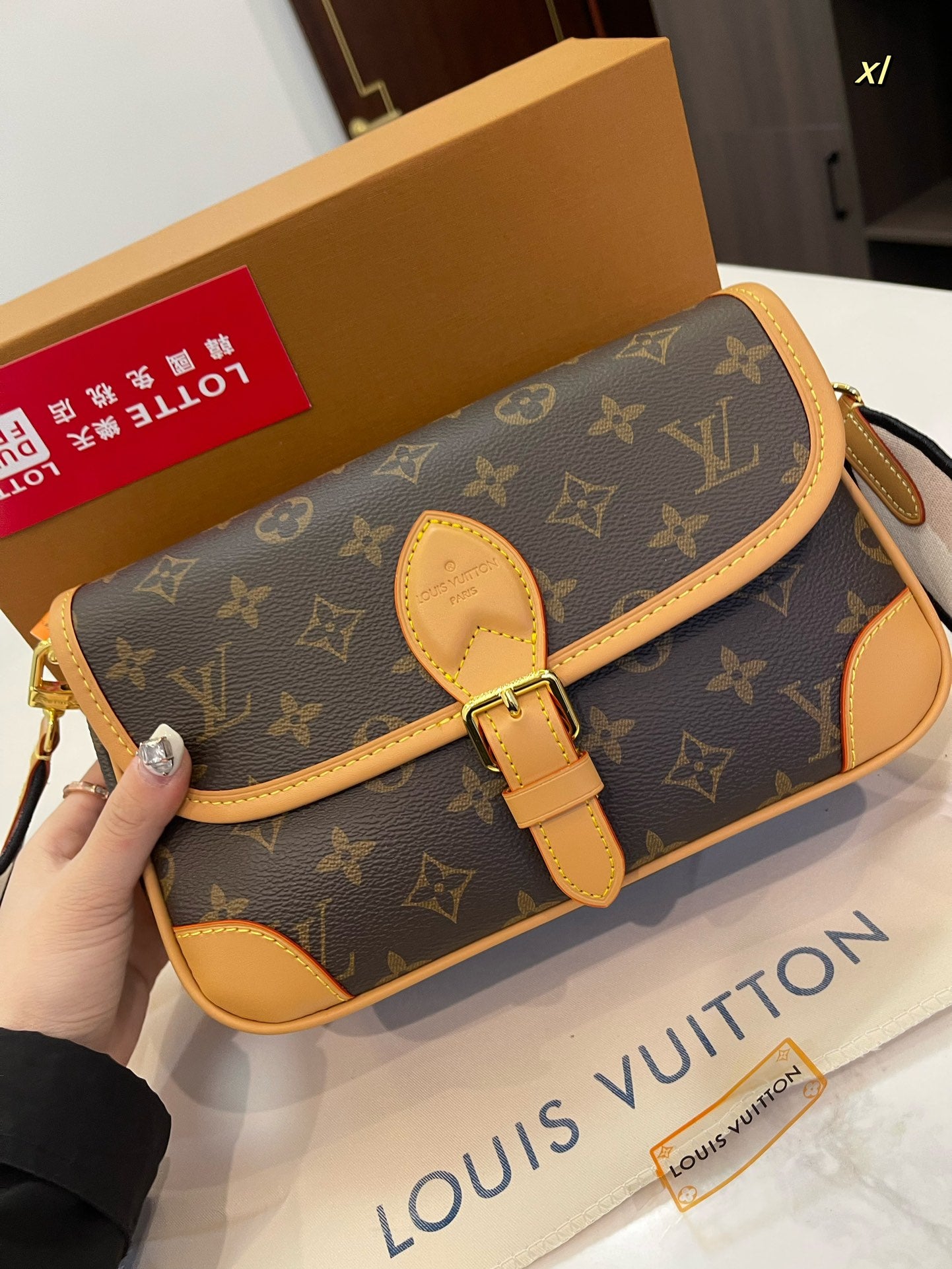 LV-BAG916