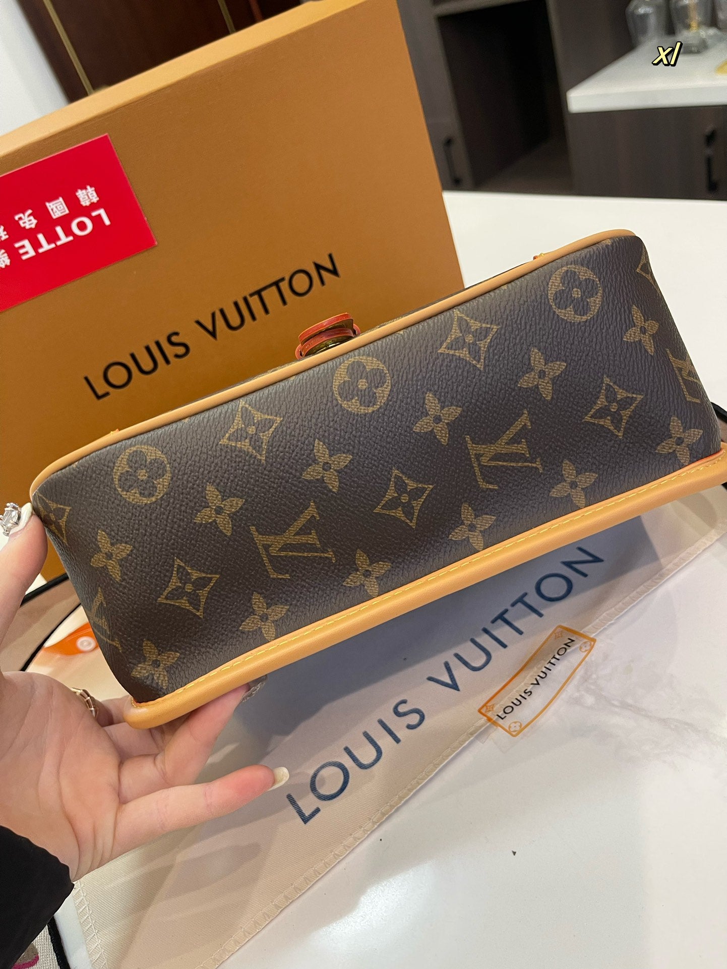 LV-BAG916