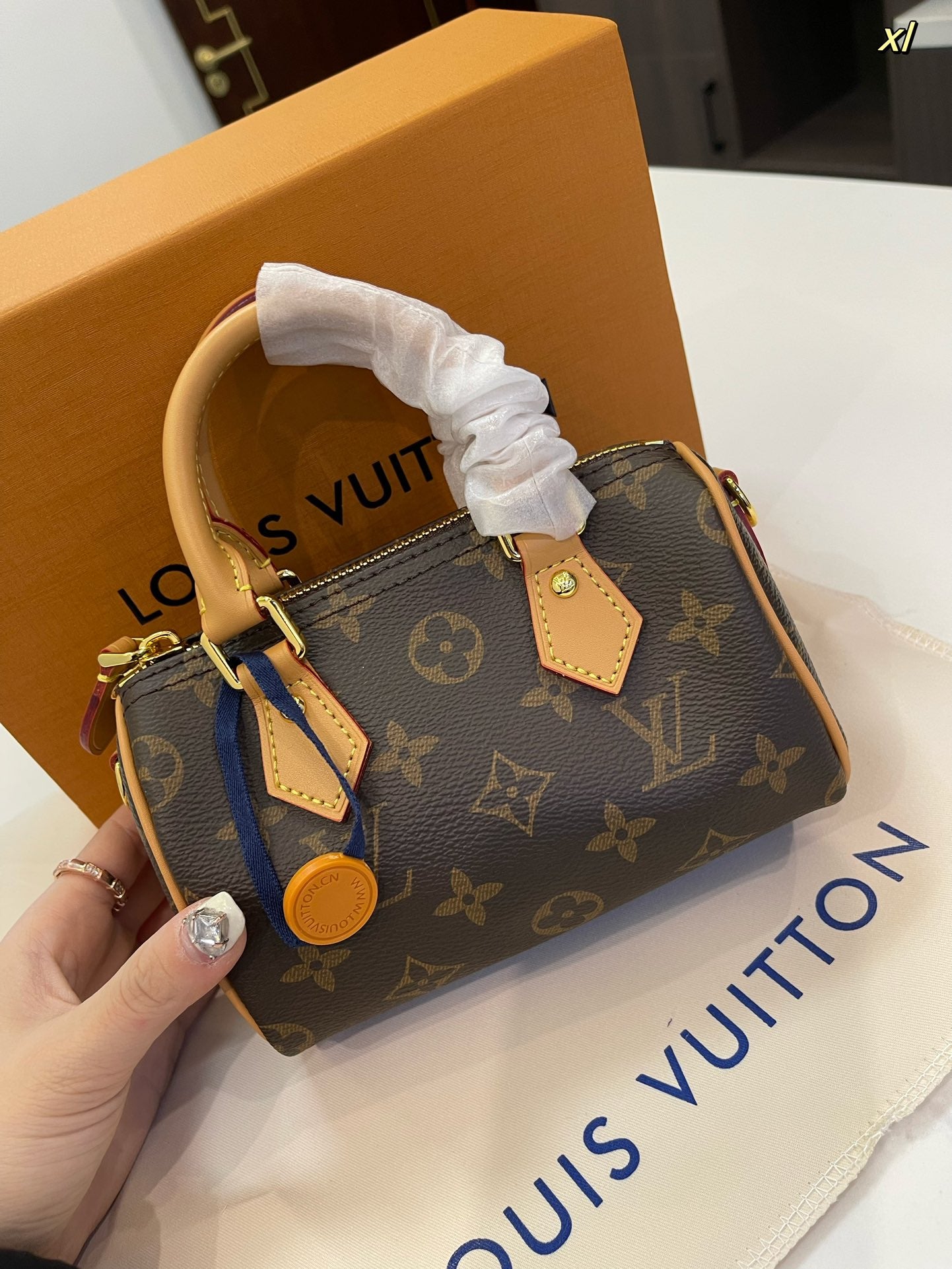LV-BAG818
