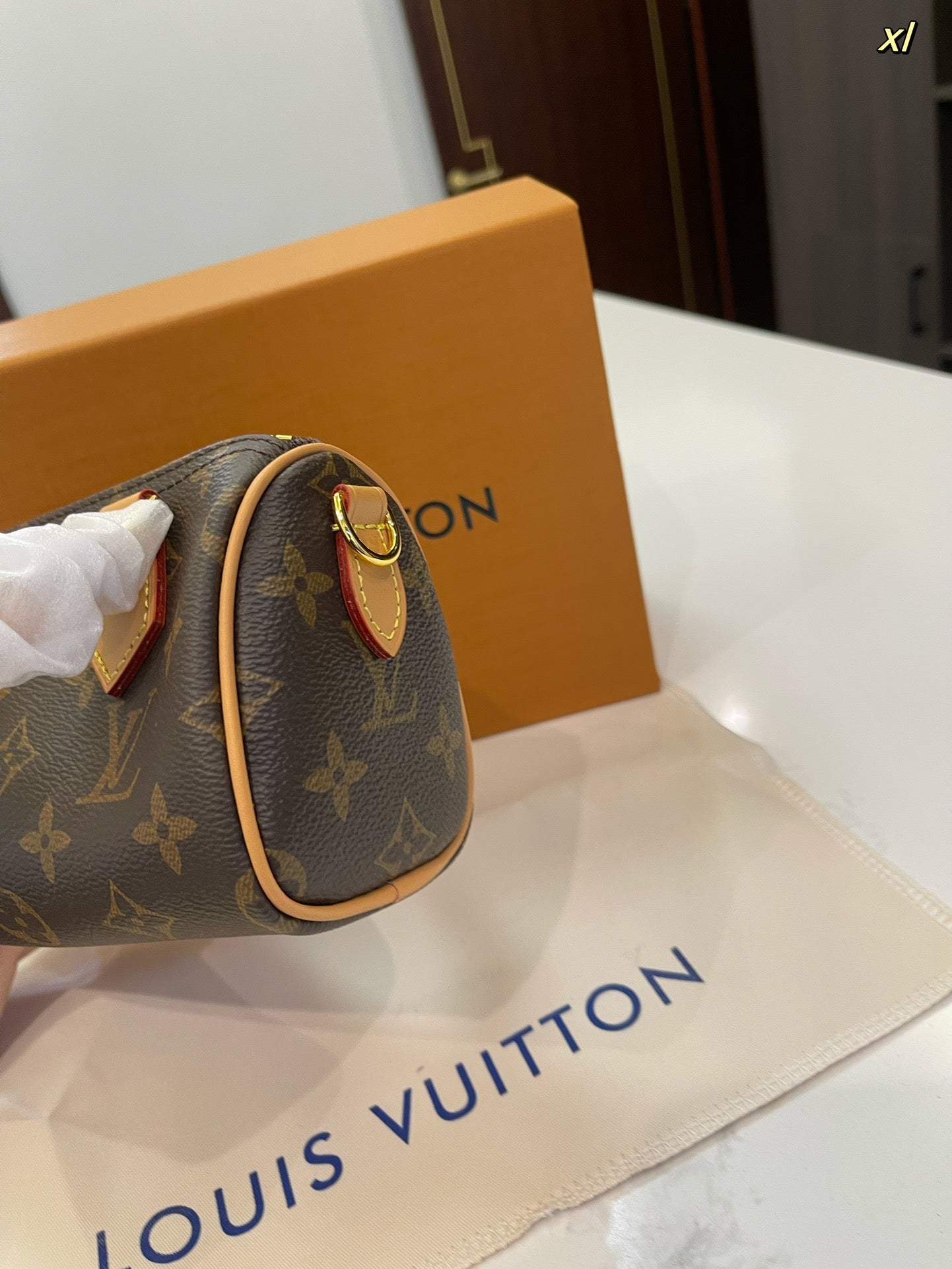 LV-BAG818