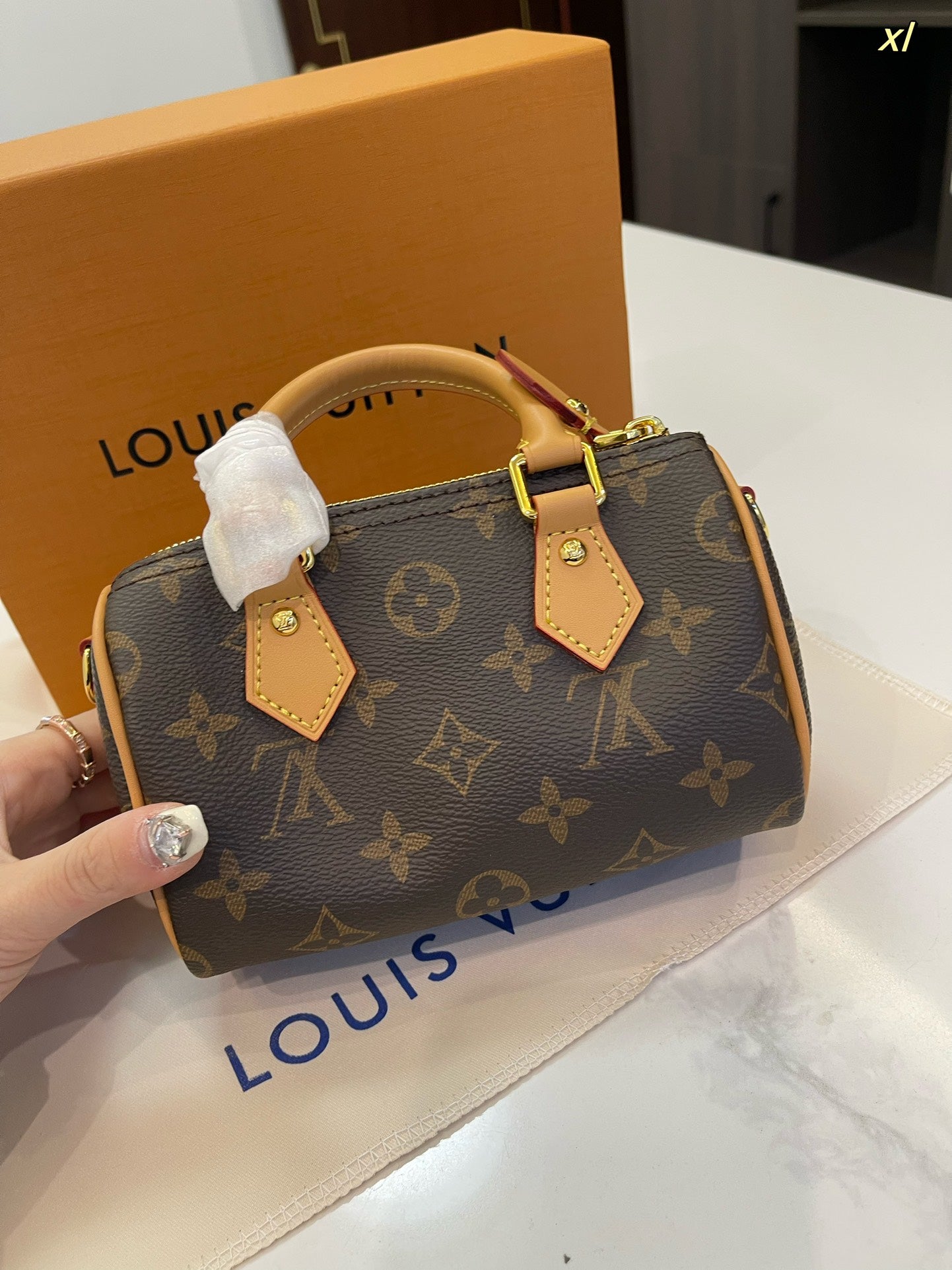 LV-BAG818