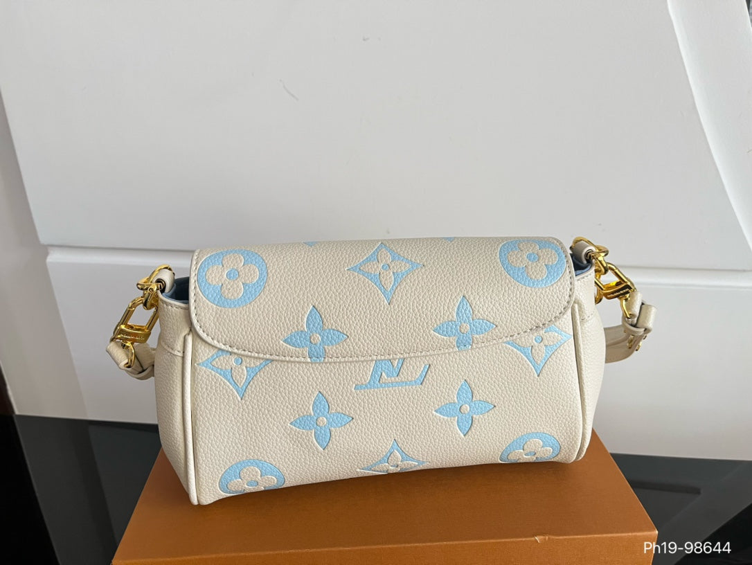 LV-BAG894