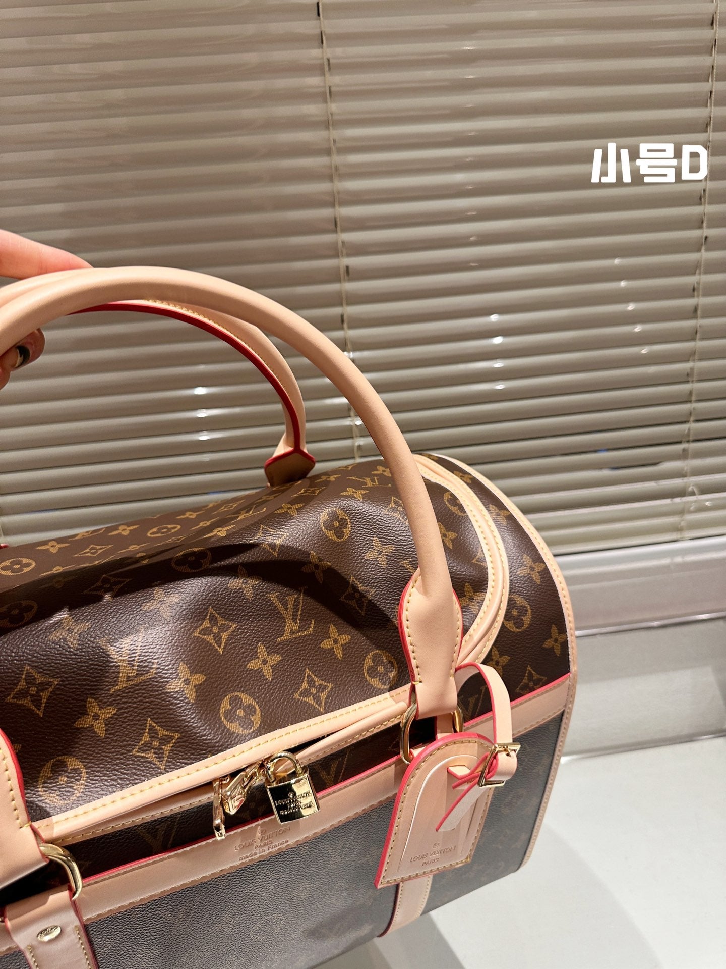 LV-BAG1046