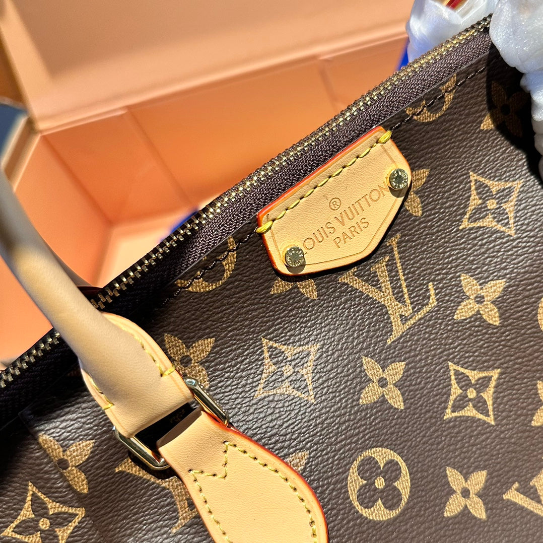 LV-BAG869