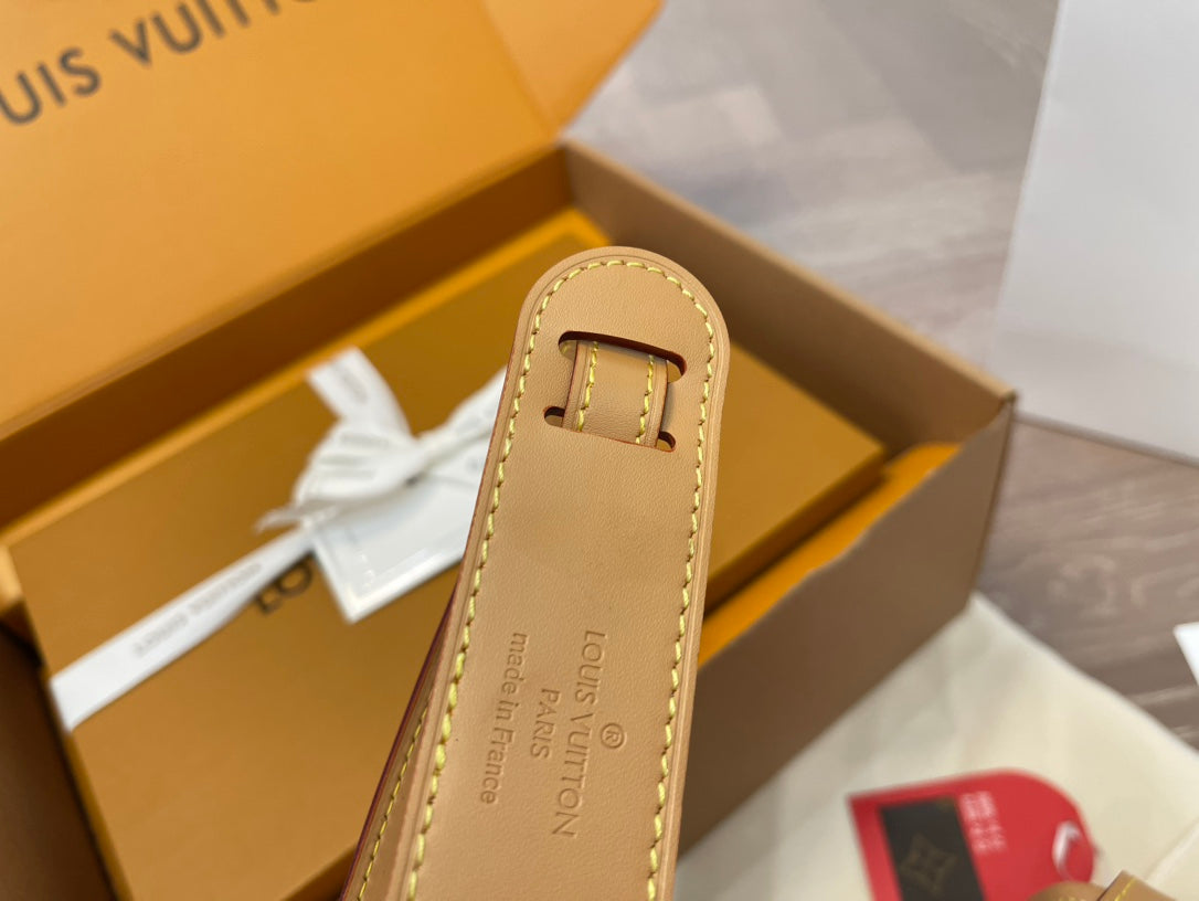 LV-BAG966