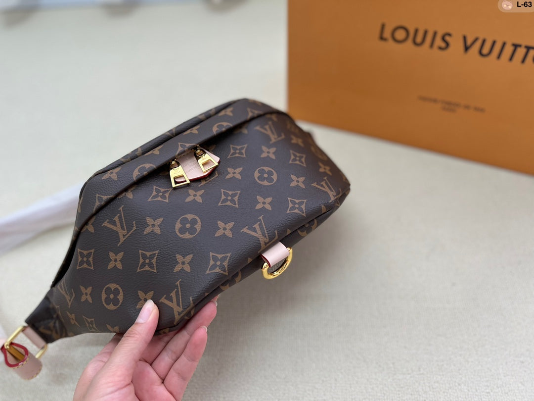 LV-BAG278