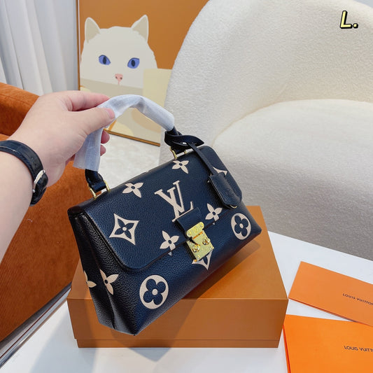 LV-BAG310