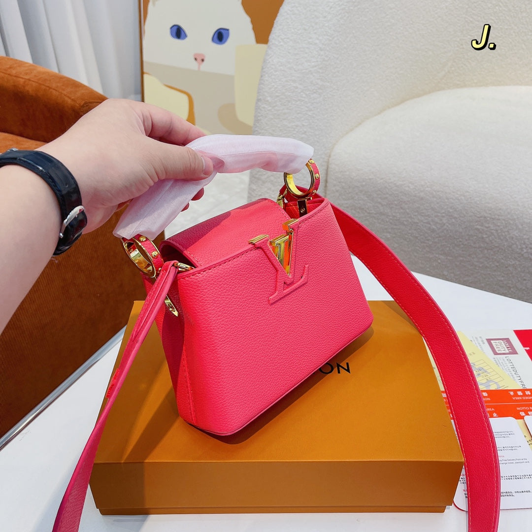 LV-BAG315