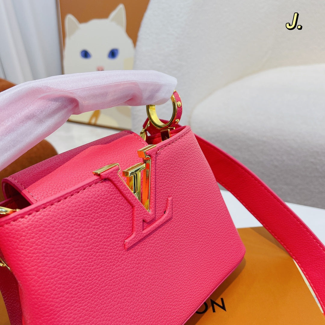 LV-BAG315