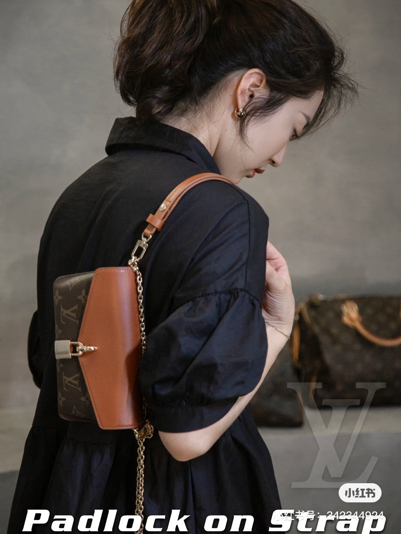 LV-BAG349
