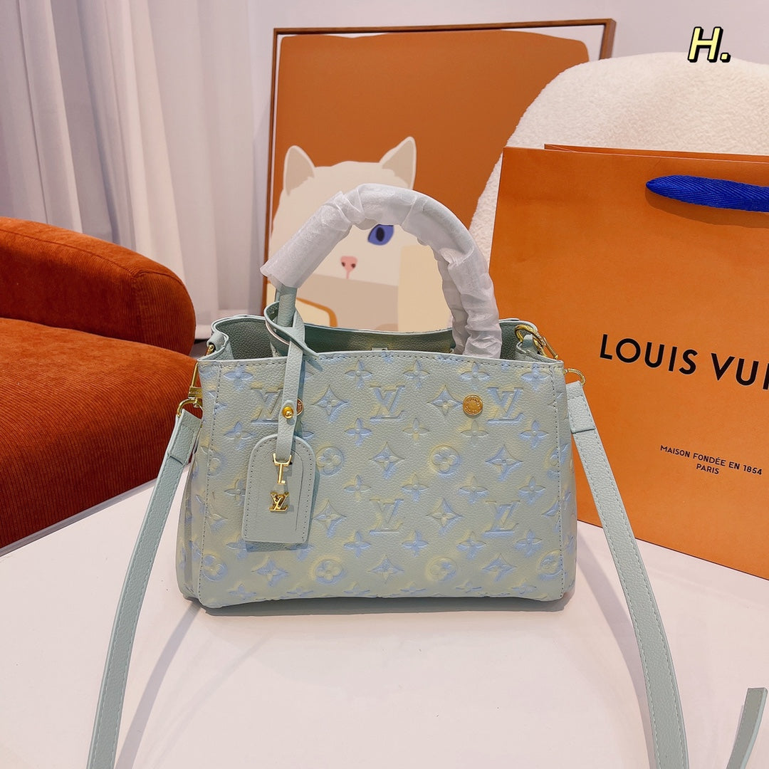 LV-BAG379