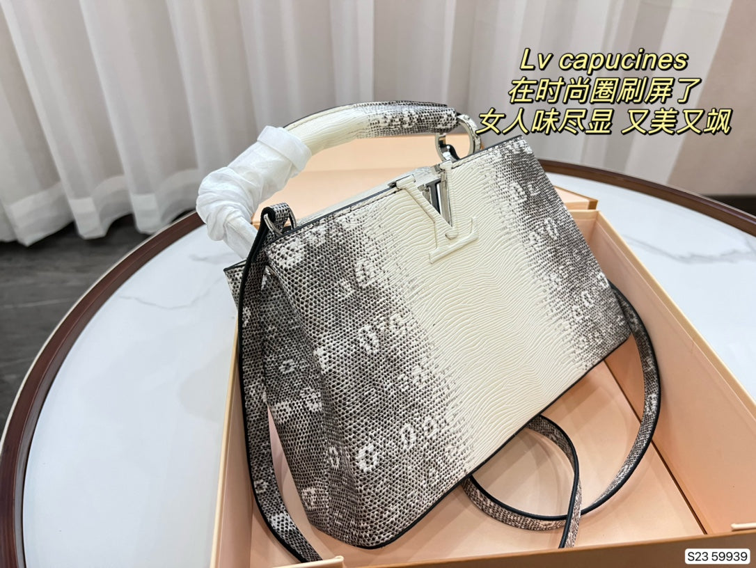 LV-BAG366