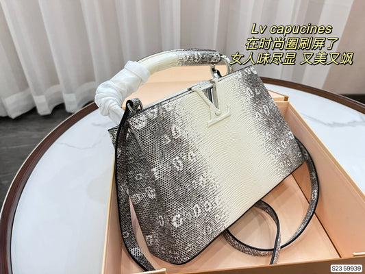 LV-BAG366