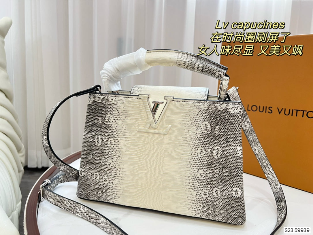 LV-BAG366