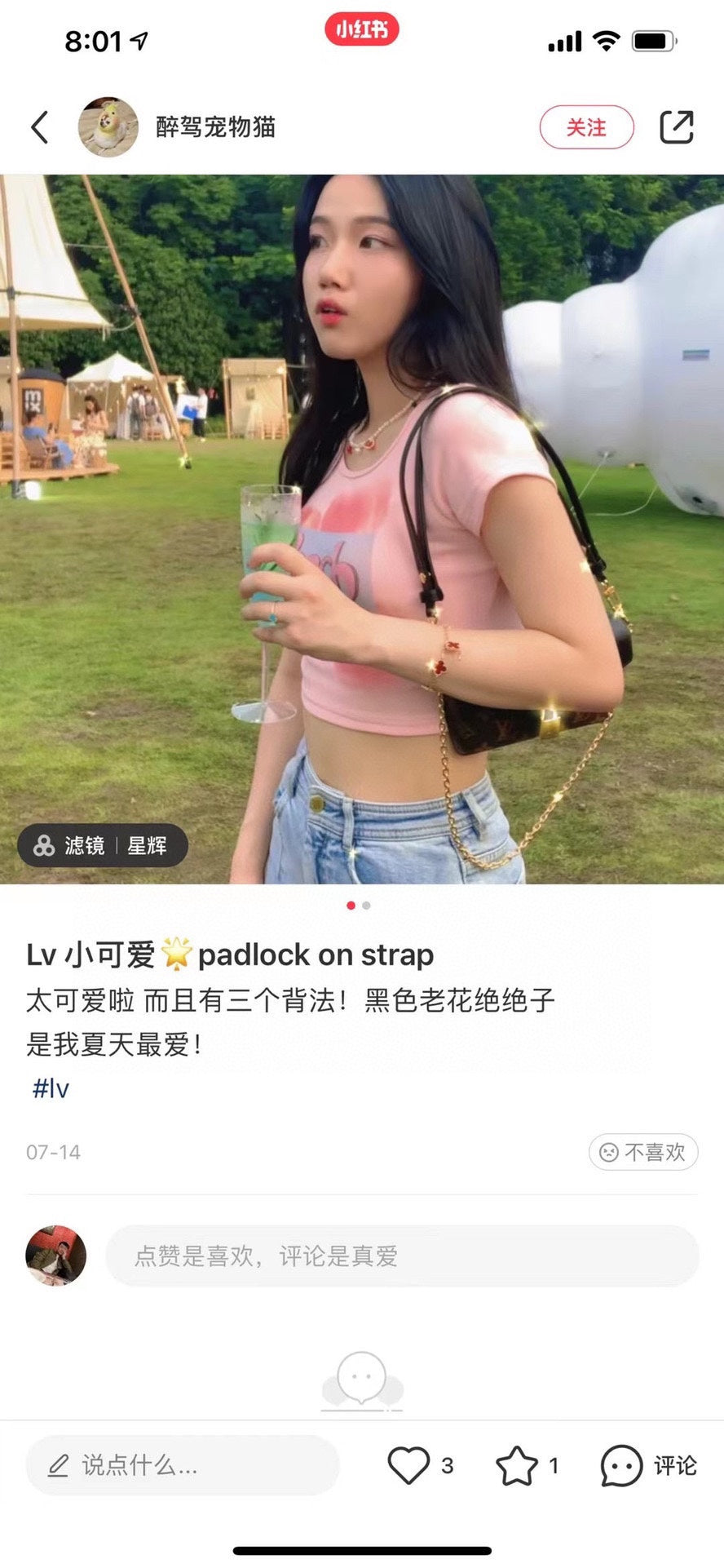 LV-BAG418