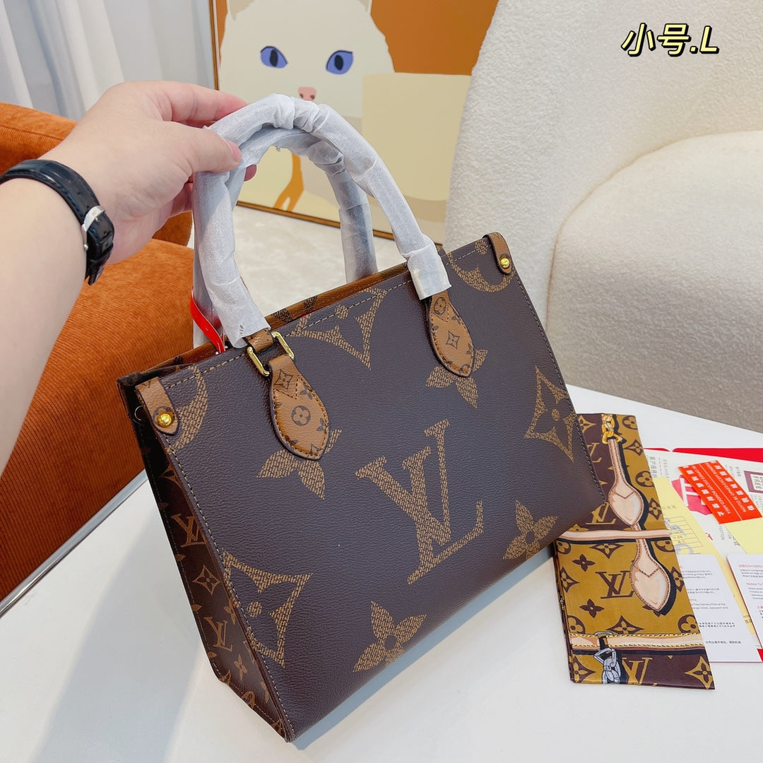 LV-BAG484