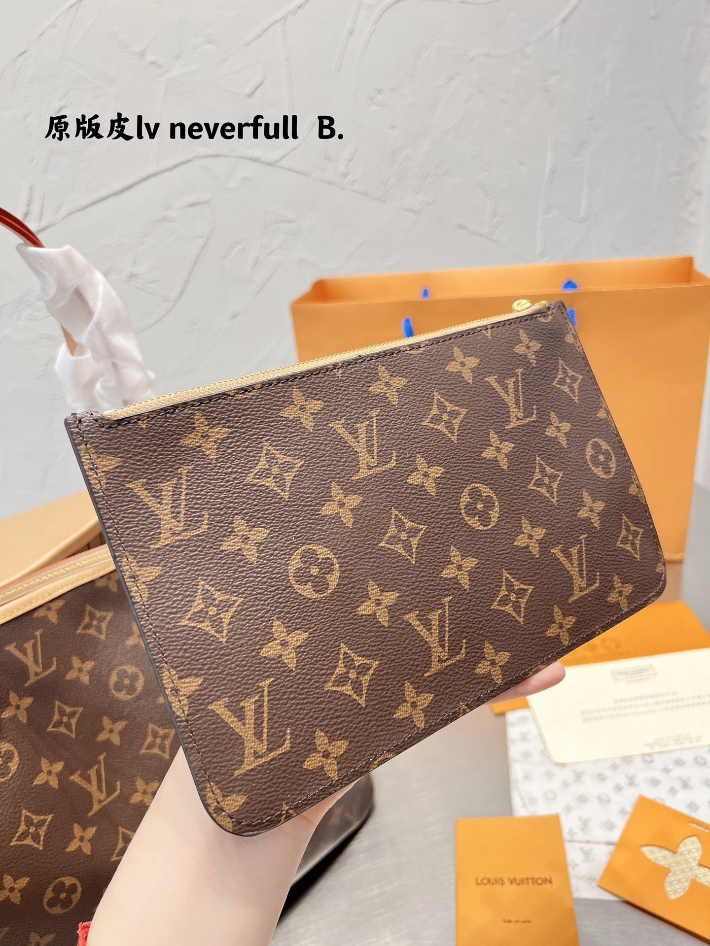 LV-BAG495