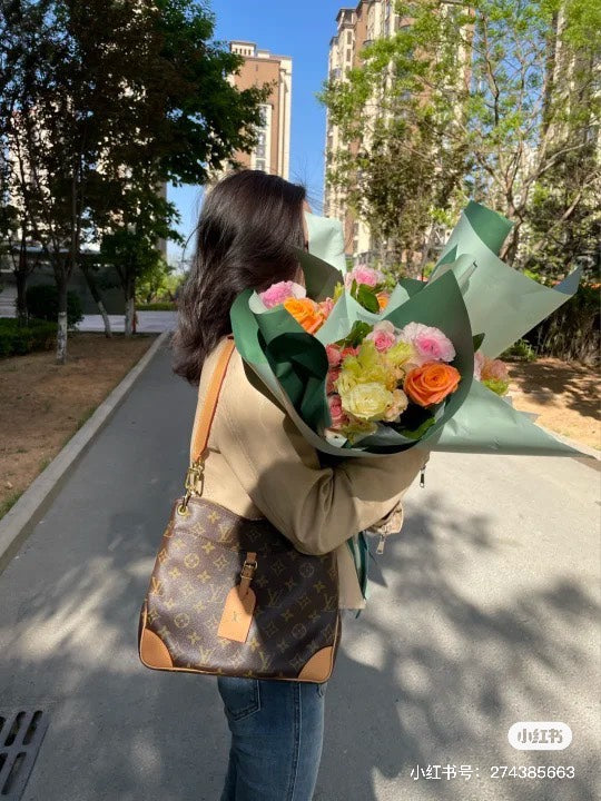 LV-BAG176