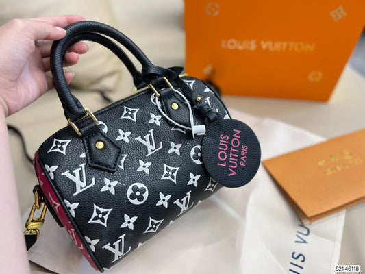 LV-BAG249