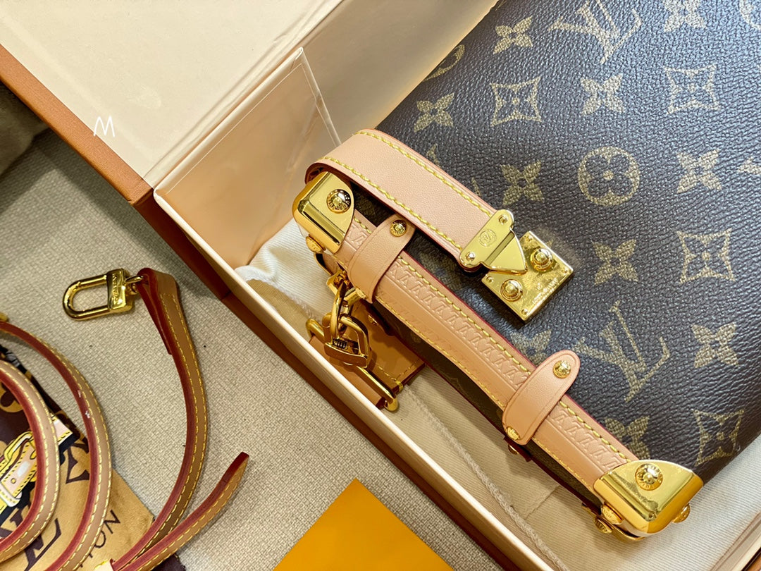 LV-BAG236