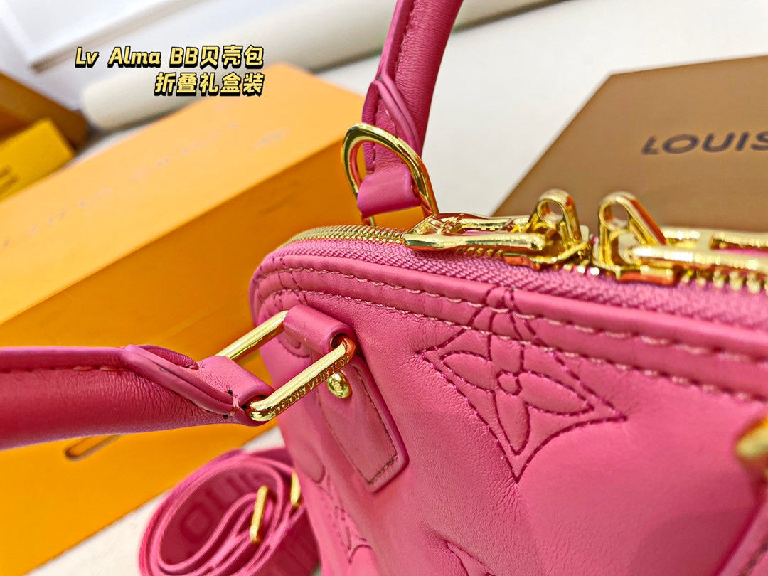 LV-BAG260