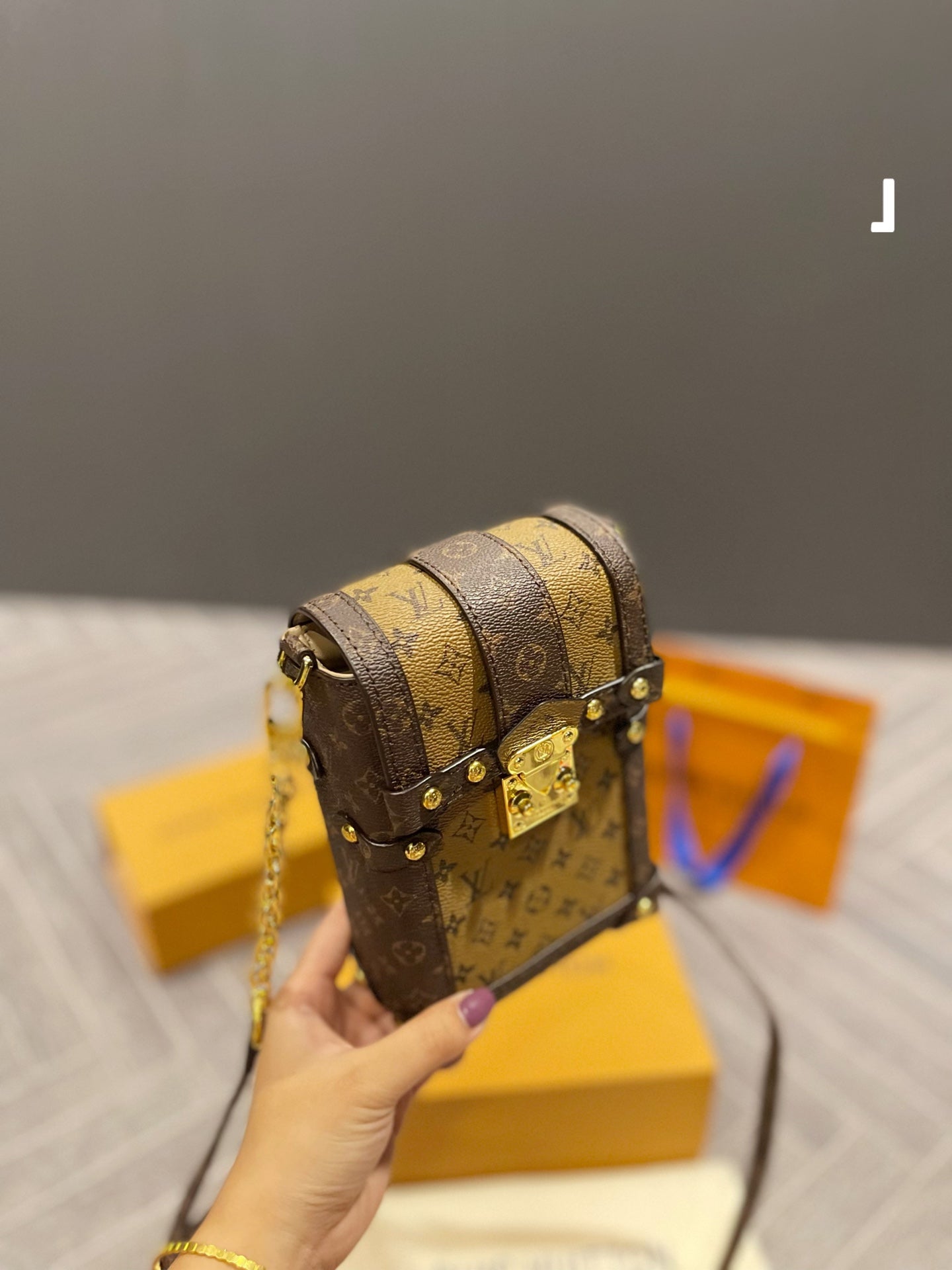LV-BAG100